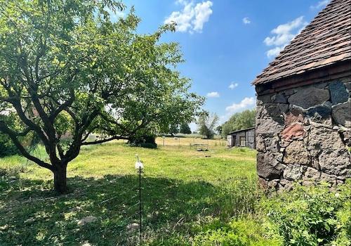 Blick auf die Koppel