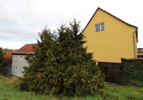 Außenansicht EFH und Nebengebäude