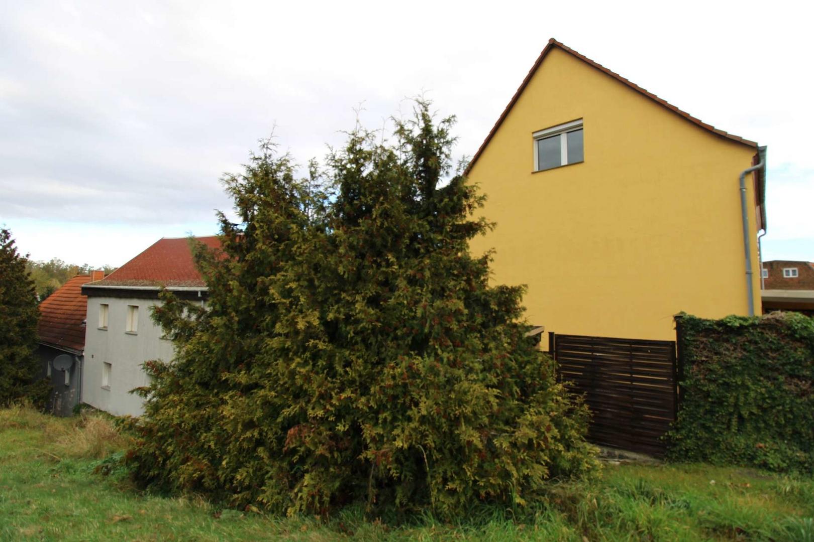 Außenansicht EFH und Nebengebäude