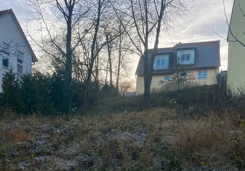 Blick Richtung Straße