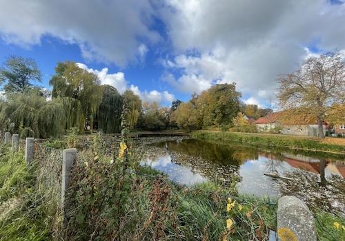 Grundstücksgrenze zum Teich