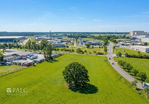 Vogelperspektive III