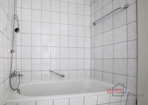 Property thumbnail 13