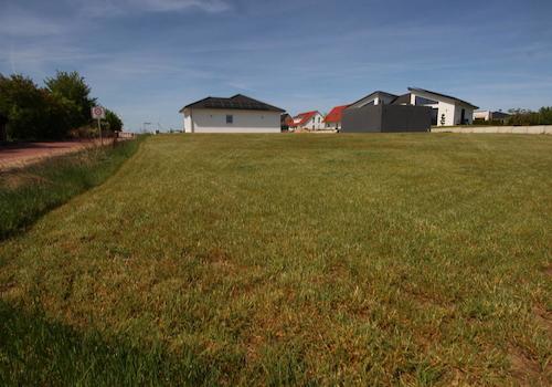 Gepflasterte Zufahrtstraße u. Tempo-30-Zone im Neubaugebiet