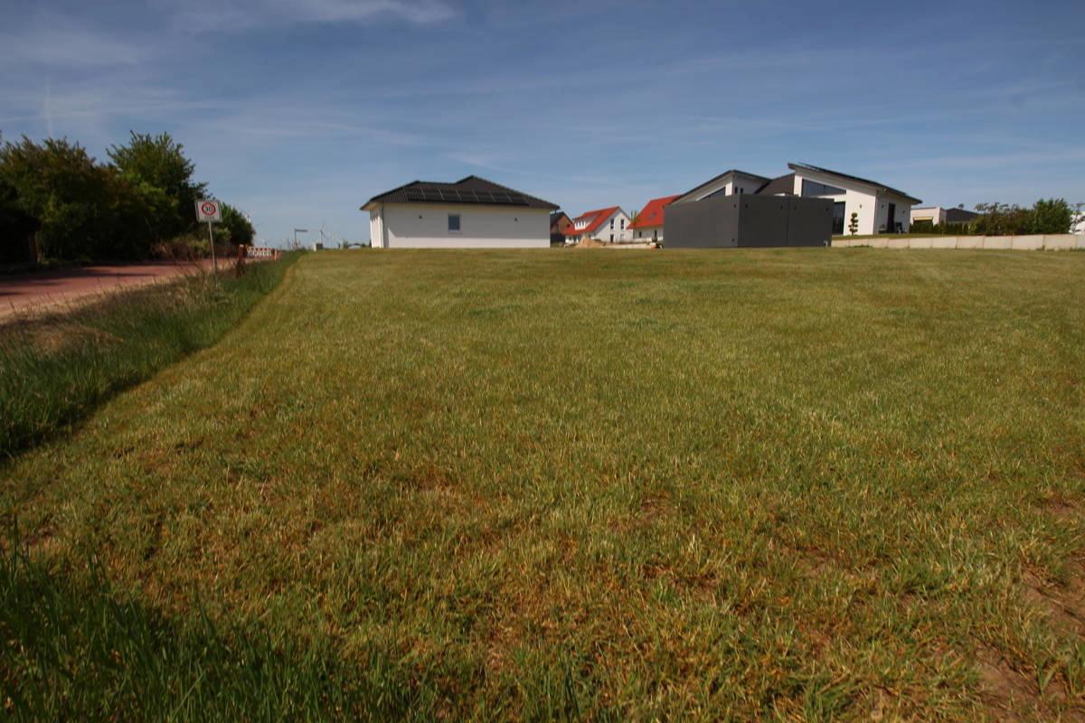 Gepflasterte Zufahrtstraße u. Tempo-30-Zone im Neubaugebiet