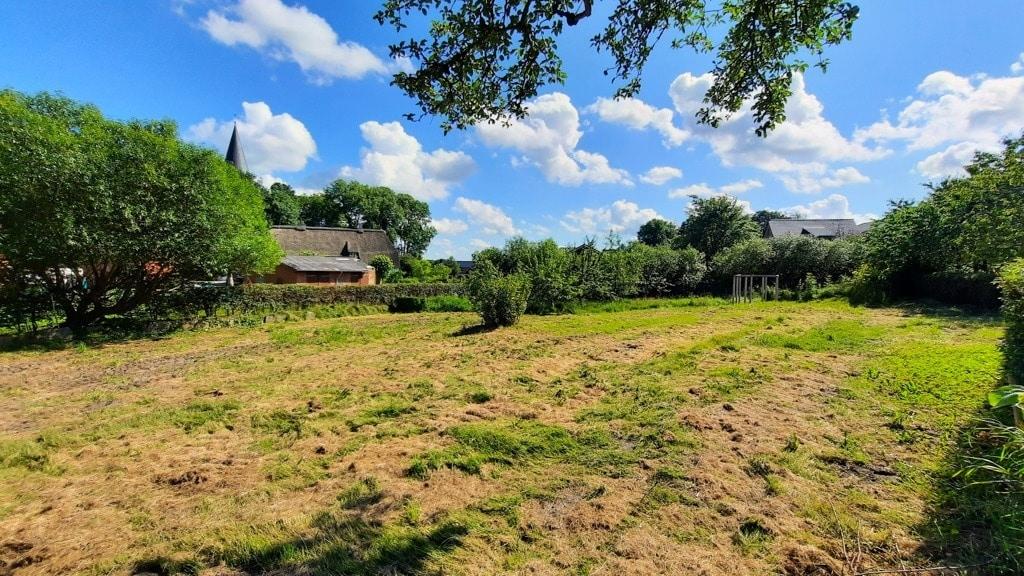 Der große Gartenbereich