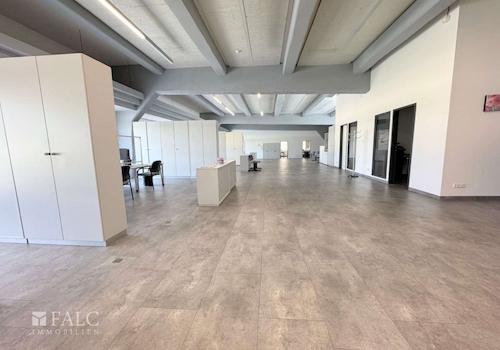 Loft 1_Großraumfläche