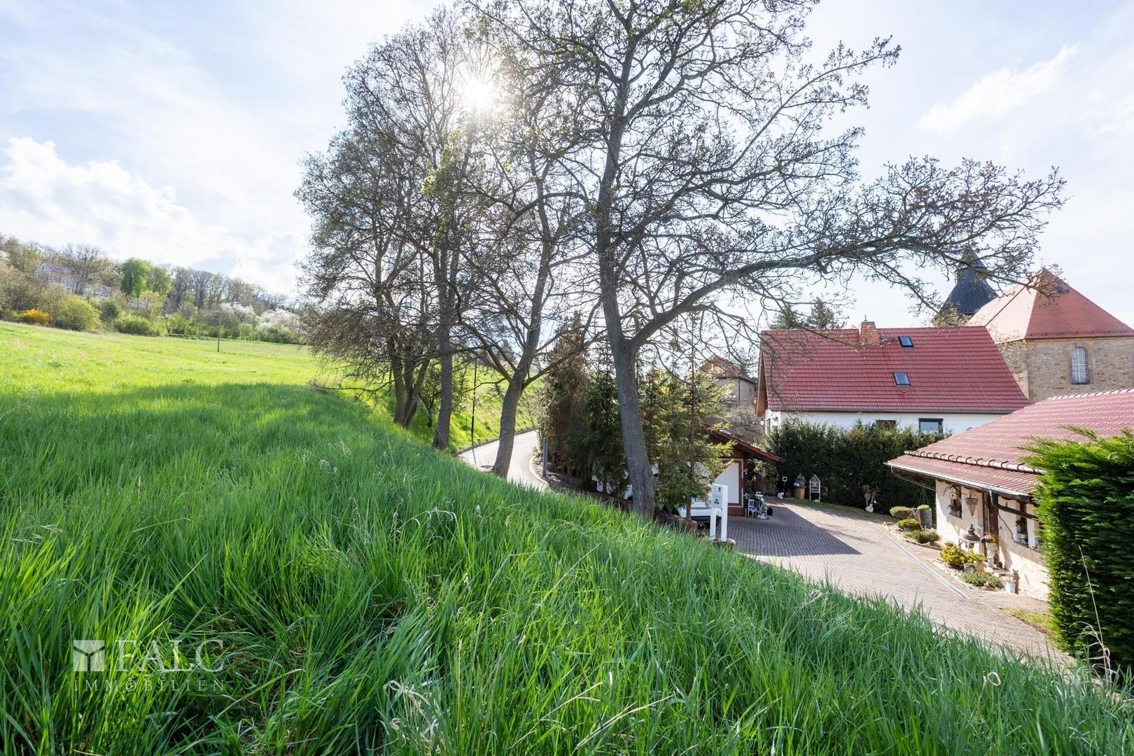 unmittelebare Umgebung 