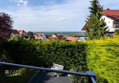 Fernblick von der Terasse 