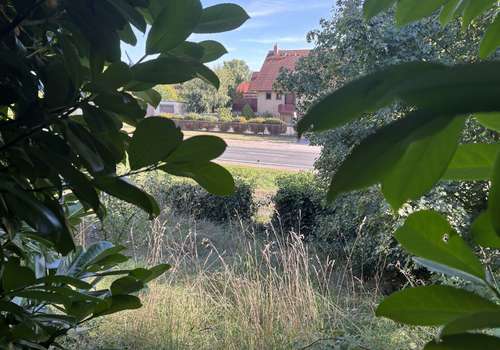 Platz für Ideen (Garten unten) 