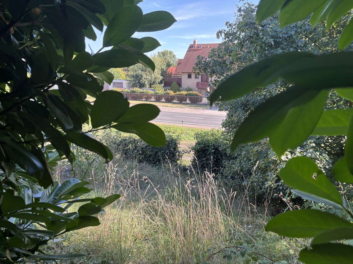 Platz für Ideen (Garten unten) 