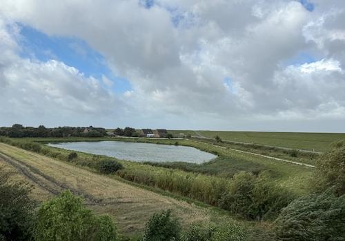 Blick auf den Außendeich
