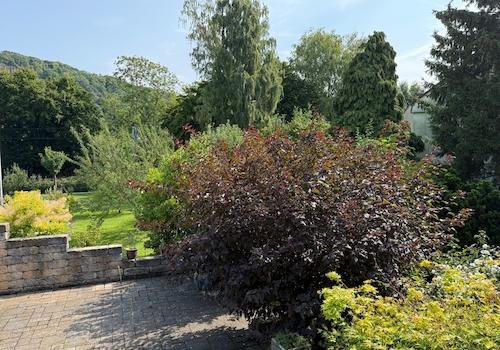 Ansicht Freisitz / Terrasse