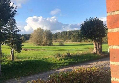 Blick nach Westen zum Wald