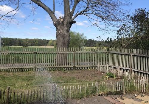 Eichenzaun zur Straße