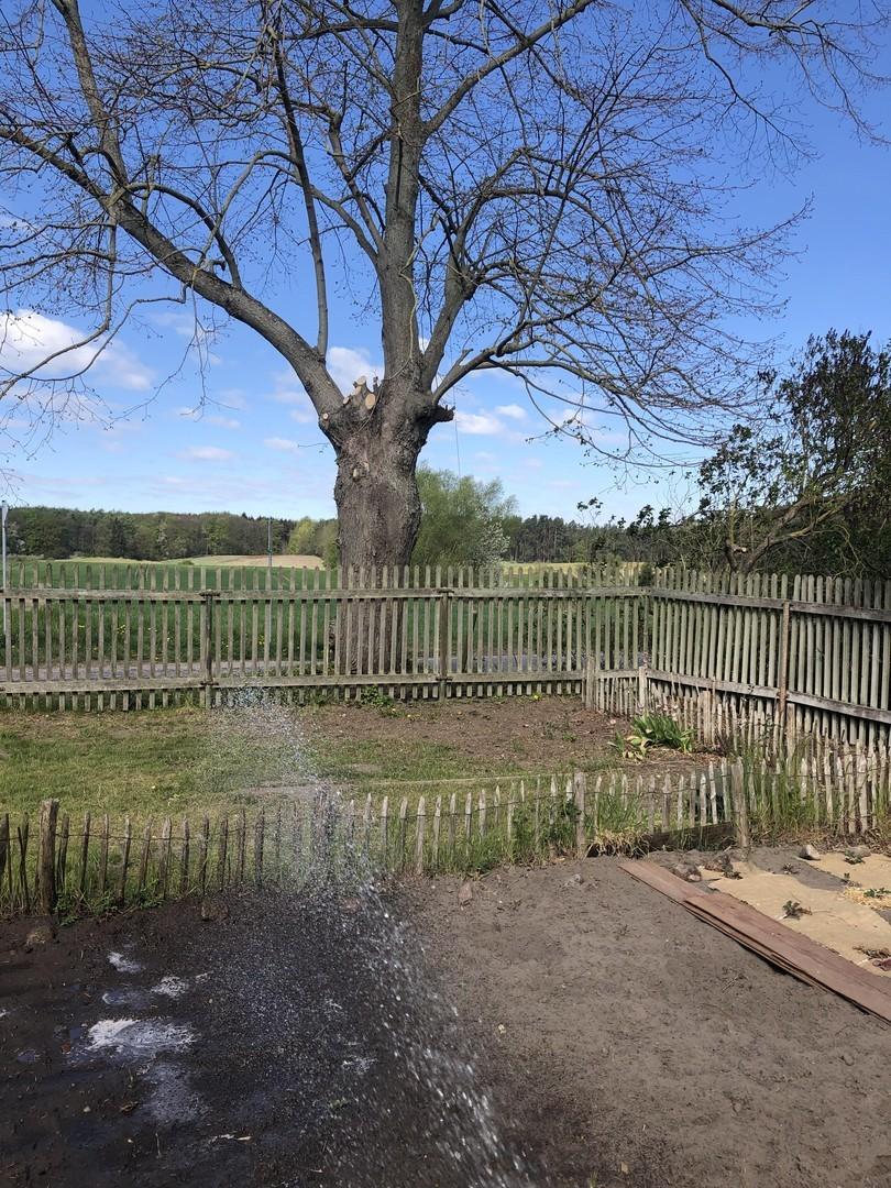 Eichenzaun zur Straße