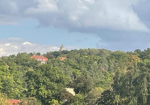 1. OG Blick vom Wintergarten