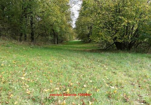 2tes Grundstück