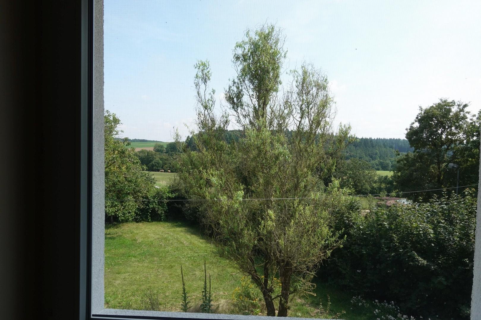 Blick in Garten vom OG