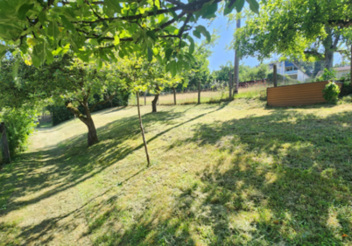 HB24 Blick i.d. Garten