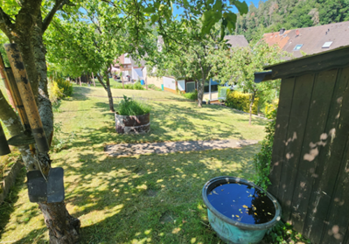 HB24-3 Blick i.d. Garten