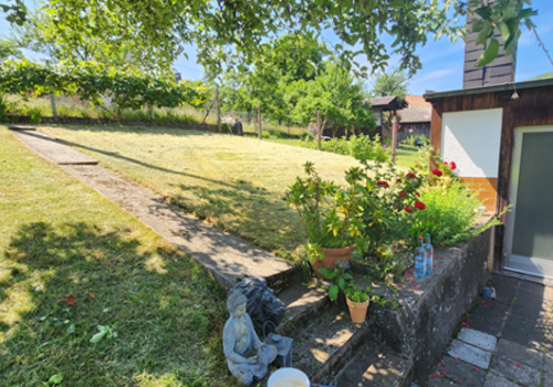 Hb24-4 Blick i.d. Garten