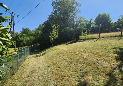 HB24-6 Blick i.d. Garten