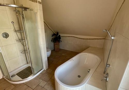 geräumige Dusche und WC-Nische