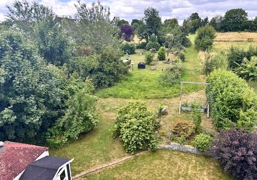 Blick in den Garten