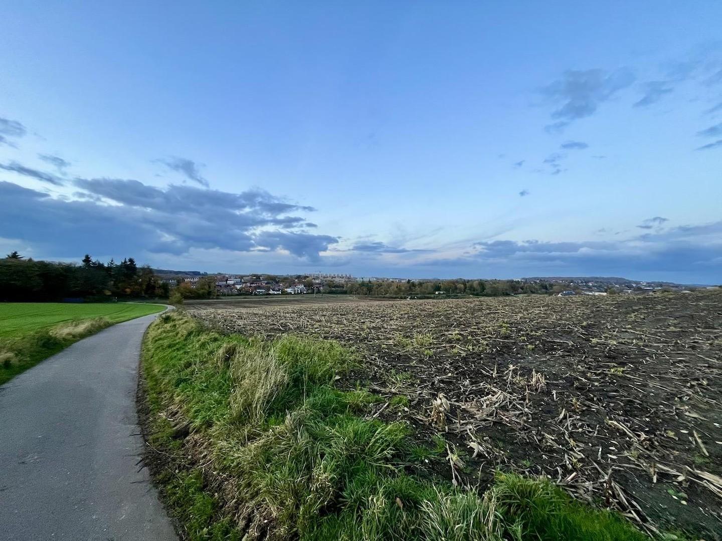 Naherholung im Hasselholz