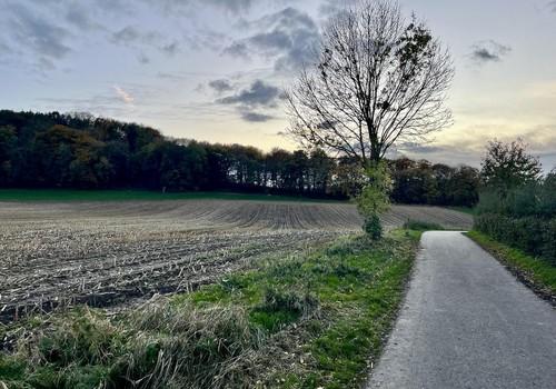 Naherholung im Hasselholz