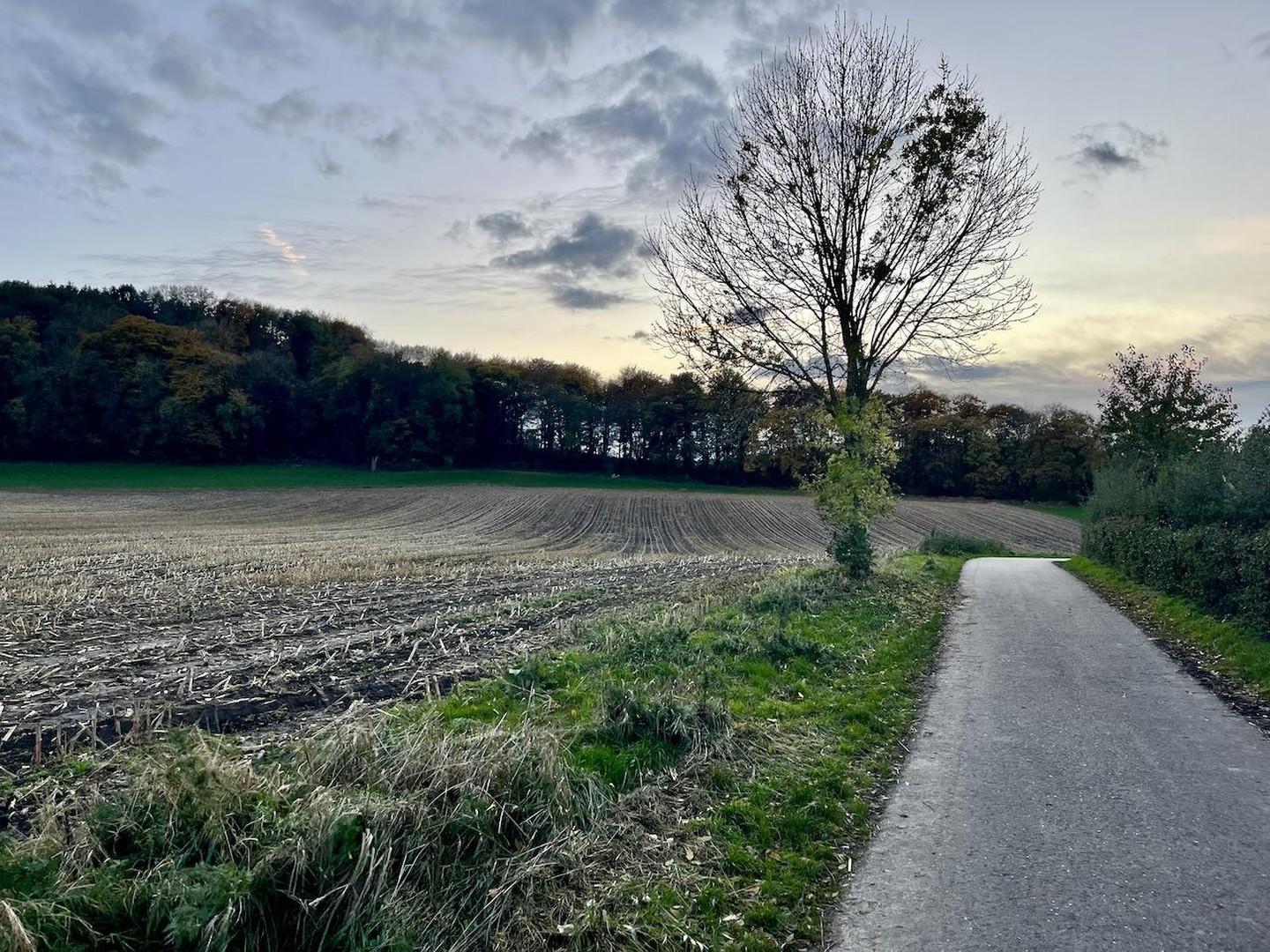 Naherholung im Hasselholz