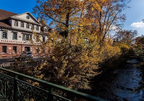 in einer wunderbaren Natur