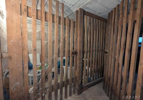 PXL 20250704 133223970