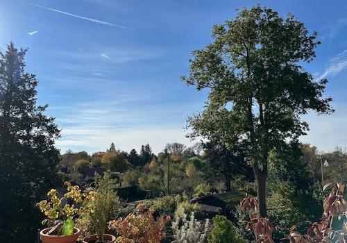 OG BalkonBlick ins Grüne