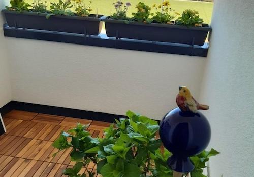 OG - Loggia an der Wohnküche