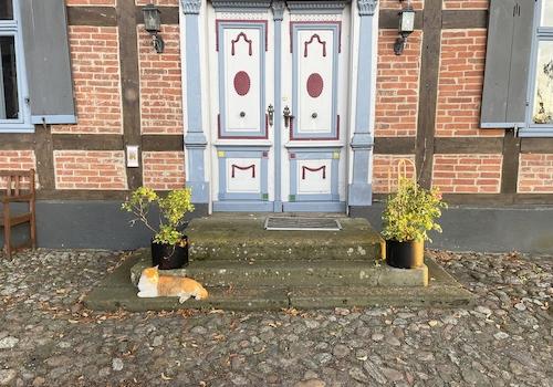 Ausgang zur Strassenseite