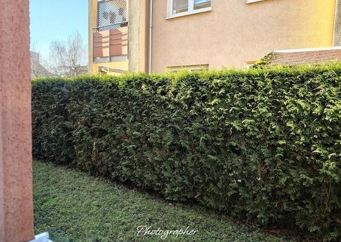 Property thumbnail 29