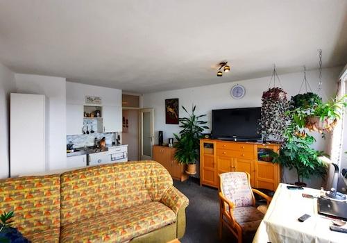 Wohn- und Schlafzimmer