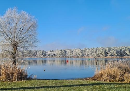traumhaft-winterliche Aussicht