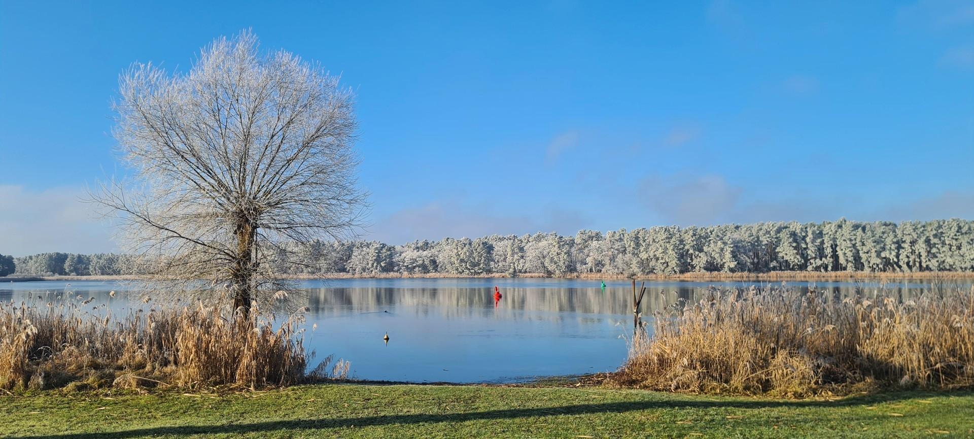 traumhaft-winterliche Aussicht