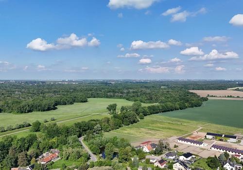 Blick Richtung Auenwald