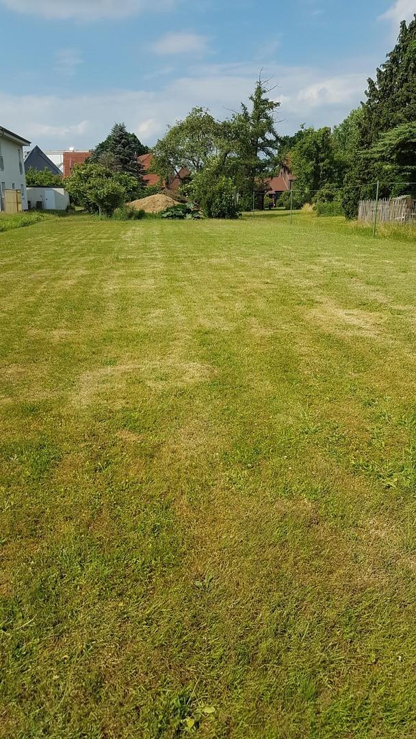 Blick vom Garten zum Haus