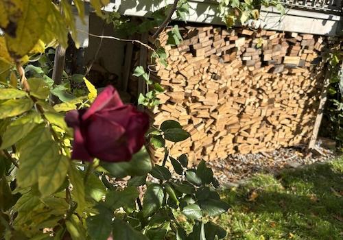 Terasse und Holzstoß