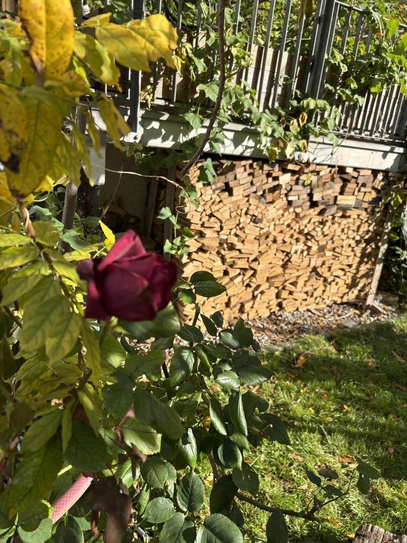 Terasse und Holzstoß