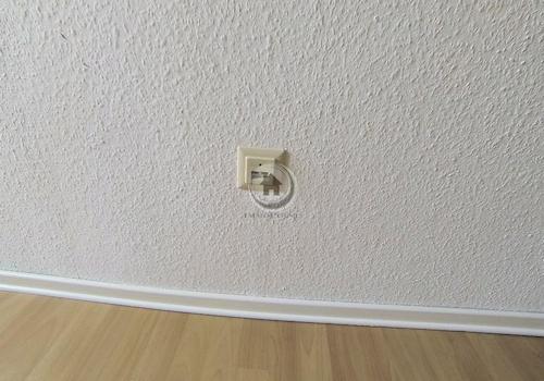 LAN Dose - Tapete - Laminat