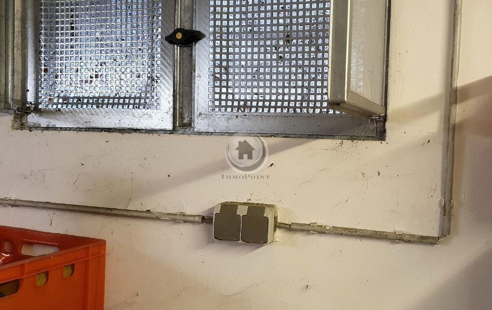 Keller - Strom und Fenster