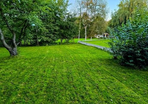 weitläufiger Gartenbereich