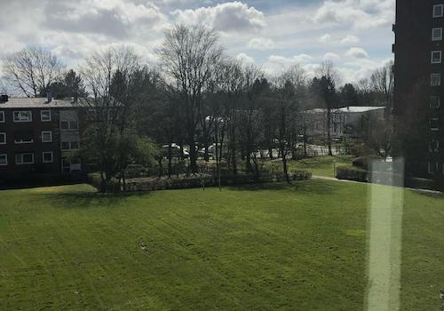 Blick vom Südbalkon in Garten