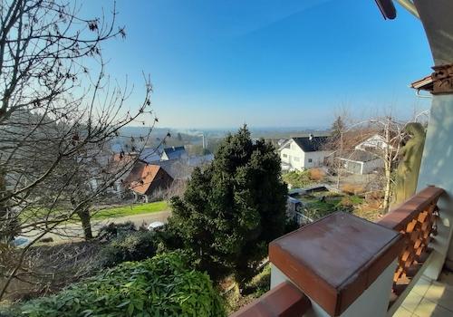 Blick v. Balkon in Rheinebene